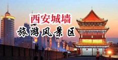 日大骚臭肥逼中国陕西-西安城墙旅游风景区