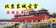 哦啊欧美性爱视频中国北京-东城古宫旅游风景区